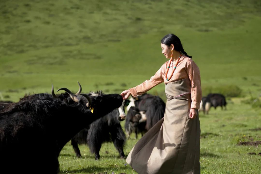 1698735374296359.jpg 005.jpg